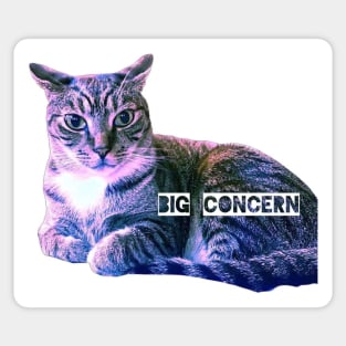 Big Concern Sticker